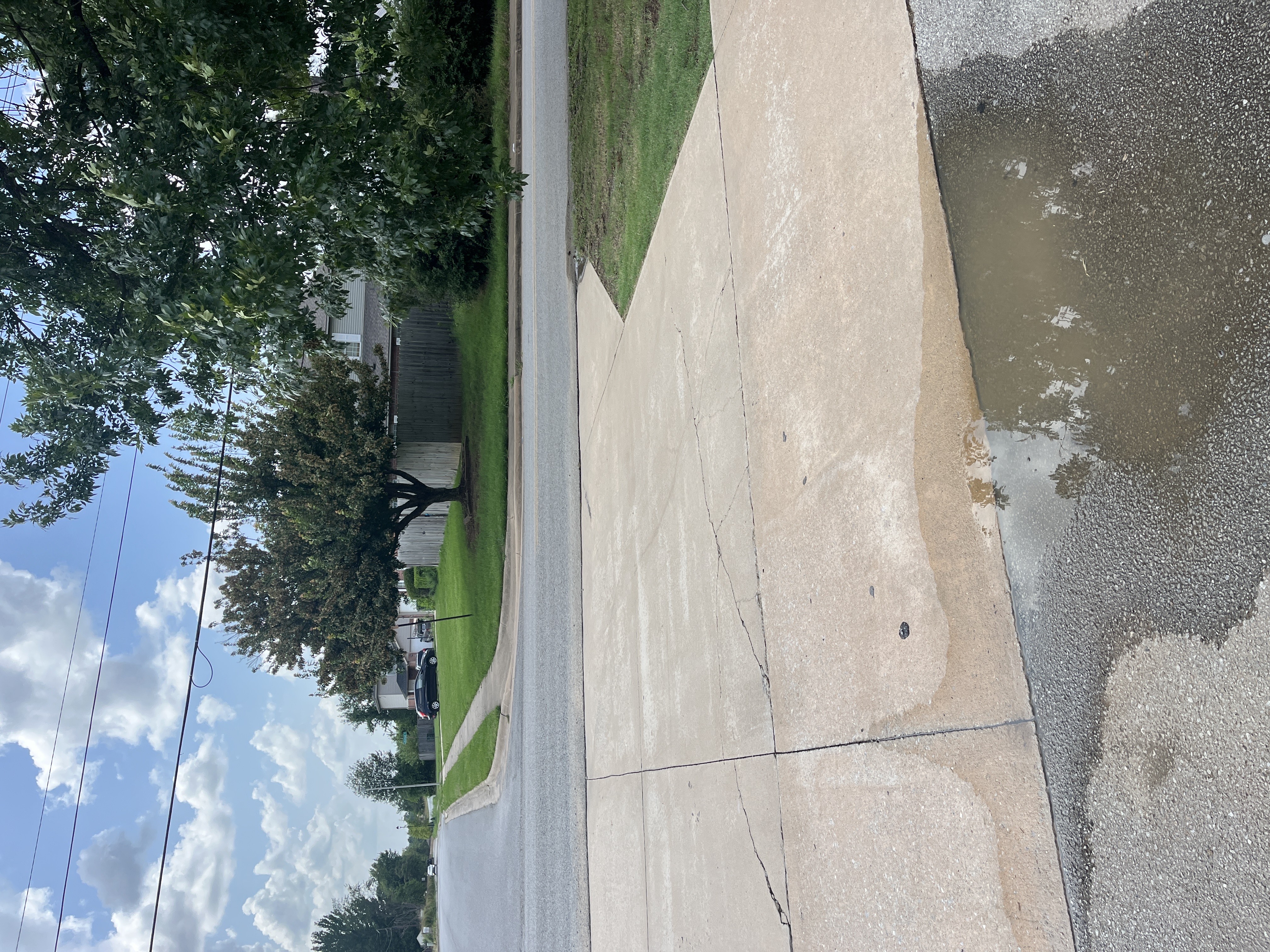 Driveway washing service